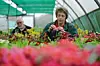 A man and woman inspect flowers in a greenhouse
