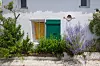 White village house on Île de Ré with green shutter, yellow window and flowering shrubs.