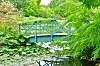 A blue wooden bridge over water surrounded by plants
