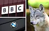 BBC logo, BMW logo and European wolf