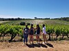 Young people viewing vineyard