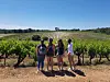Young people viewing vineyard