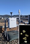 New AI sensors developed in Grenoble track arrival of pollen in France