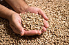 How to store wood pellets to avoid carbon monoxide risk at French home