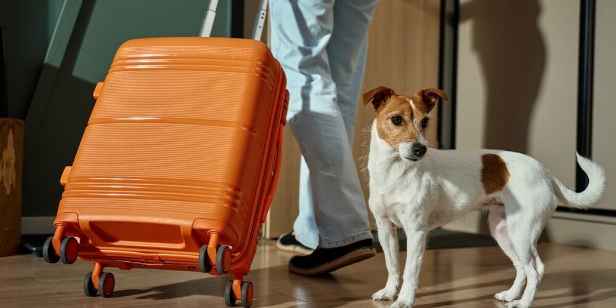 New rules for UK to France pet travel from April 22