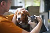 Man on sofa stroking a dog and a cat sitting close together