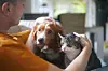 Man on sofa stroking a dog and a cat sitting close together