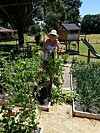 Woman in sun hat working in raised vegetable garden on a sunny day