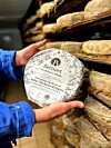 Person holding a wrapped Bertinet Saint-Nectaire cheese wheel in a cellar of ageing cheeses