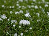Storms leave trail of damage in south-west France