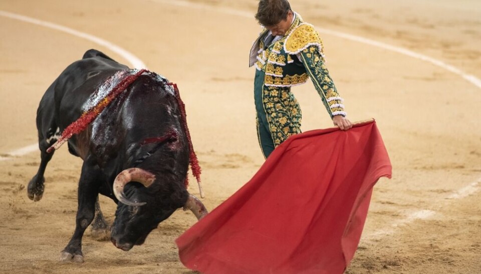 French animal rights group challenges La Brède bullfight near Bordeaux