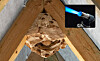 A large hornets' nest attached under a wooden roof beam, with a blowtorch inset in the corner.