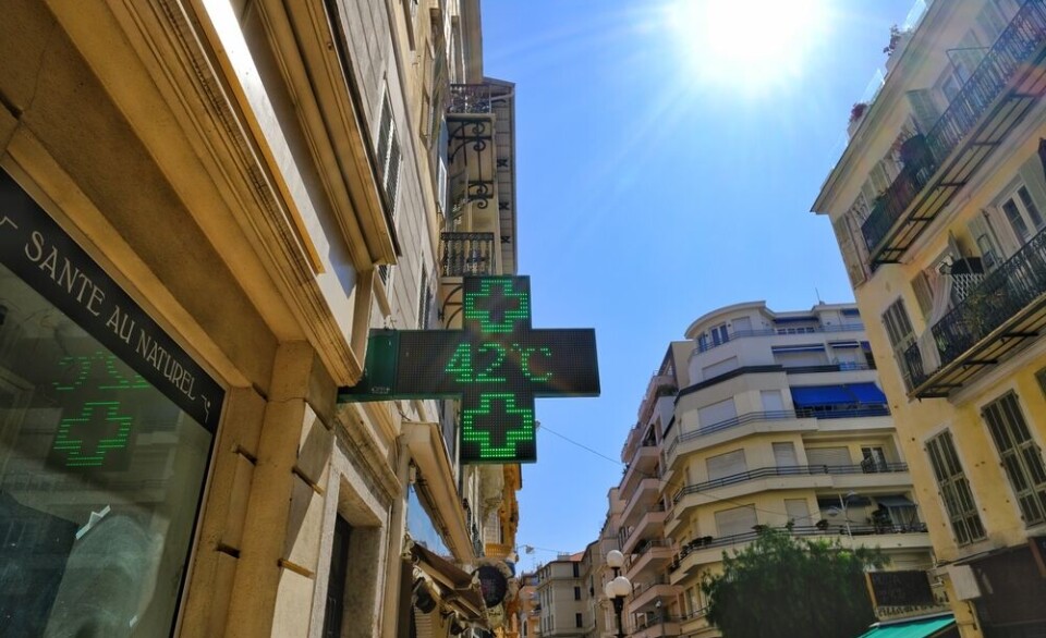 Green pharmacy cross sign on a sunny street in Nice, France, between tall buildings.