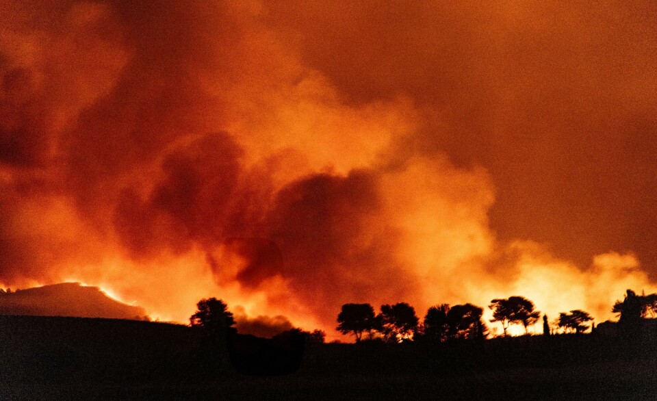 Intense forest fire with bright flames and thick smoke over a dark tree line at night.