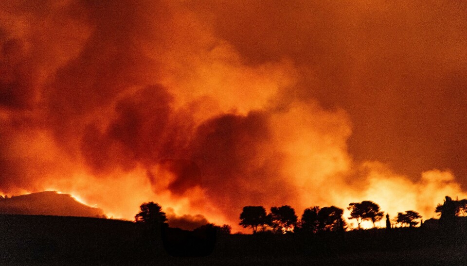 Intense forest fire with bright flames and thick smoke over a dark tree line at night.