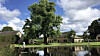 Large tree beside a pond with cottages and reflections under a cloudy sky.
