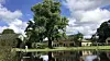 Large tree beside a pond with cottages and reflections under a cloudy sky.