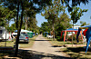 Tree-lined campsite in southern France with tents, caravans, parked cars and a gravel road.