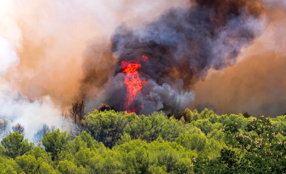 Wildfire with flames and thick smoke rising above green woodland near Aubais, France.