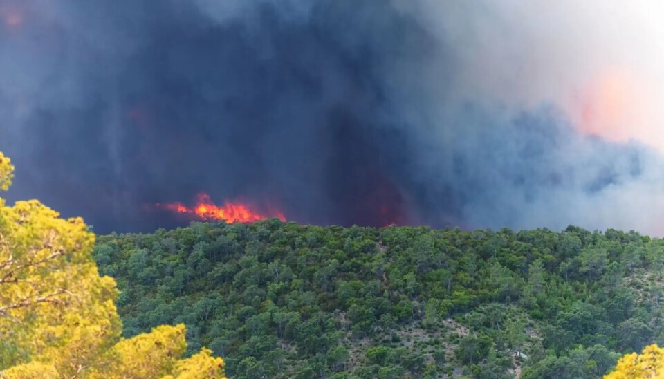 Par Fire Term Your guide to understanding French terms around wildfires