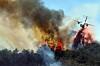 Thick smoke and flames rise from a hillside fire with trees and power lines in the foreground.