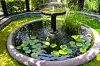 Circular garden fountain with lily pads and water lilies in Yvoire, France.