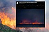 Dry grass burning at the edge of a forest fire with bright flames and smoke.