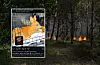Forest fire with flames among trees and a social media post overlay showing a fox illustration.