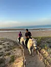 Two riders on white horses travel along a sandy path beside a broad beach.