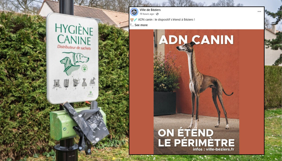 Dna Profiling Questions French towns use dog DNA testing to tackle dog fouling in 2026