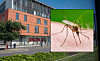 Close-up mosquito inset over a modern hospital building with an emergency department sign