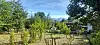 Sunlit garden with young plants, trees, a low building and mountains in the background