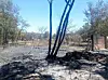 Scorched trees and ash-covered ground in a clearing after a wildfire