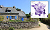 Stone cottage with blue shutters beside a dry-stone wall, with a purple regional map inset in the upper right.