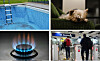 Collage showing a swimming pool, resting dog, gas hob and people entering a shop