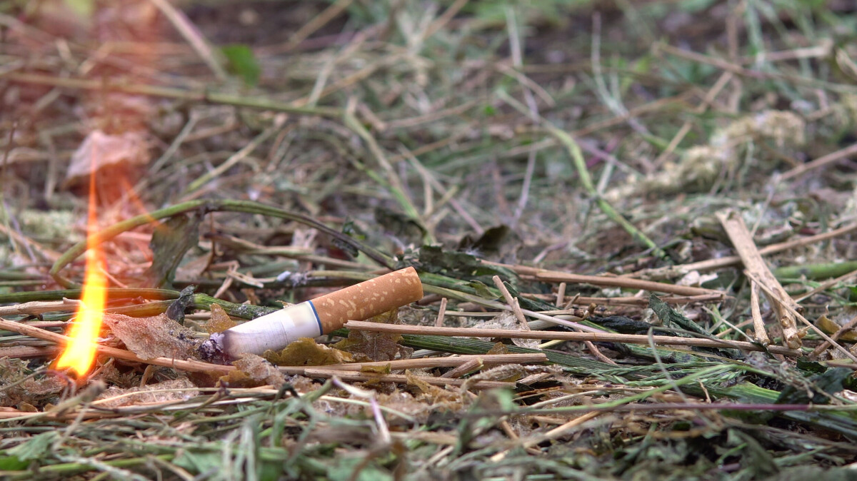can a cigarette cause a forest fire Wildfire Causes and Evaluations (U.S. National Park Service) Whistler's prohibitive approach to smoking